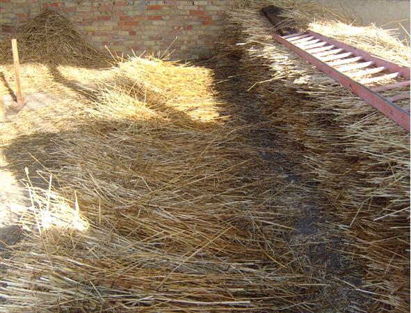 drawnoutlongstrawreadytobemadeintoyealms