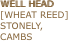 WELL HEAD