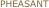 PHEASANT
