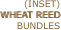 (INSET)