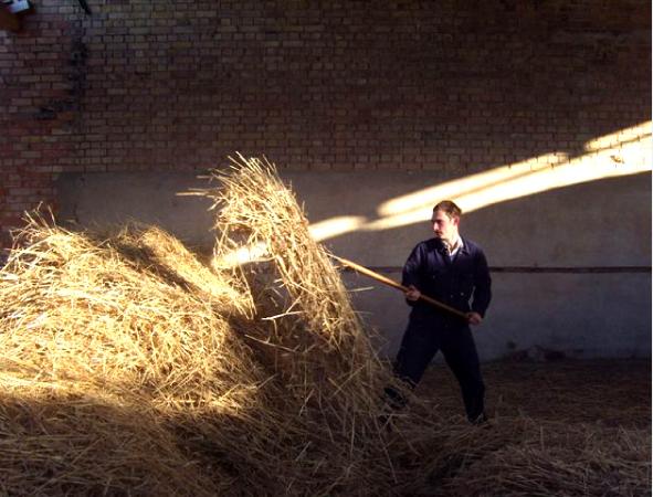 JeffHelmeThatcherCambridgeCambridgeshireTools2jpg