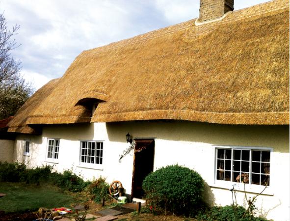 JeffHelmeThatcherCambridgefullrethatch1