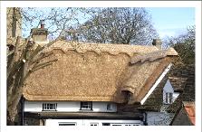 thatchercambridgeshirelongstraw