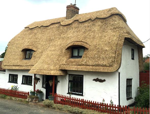 thatchercambridgeshirelongstraw3