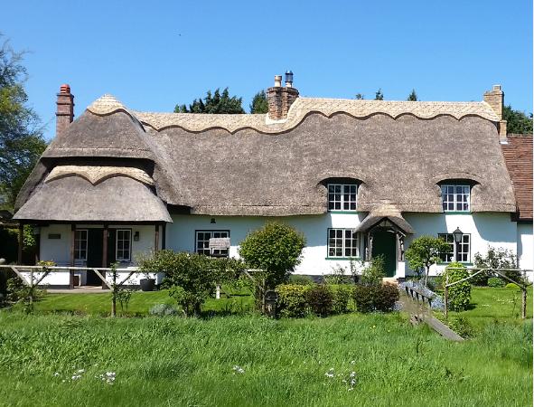 thatchercambridgeshirehiltonridge