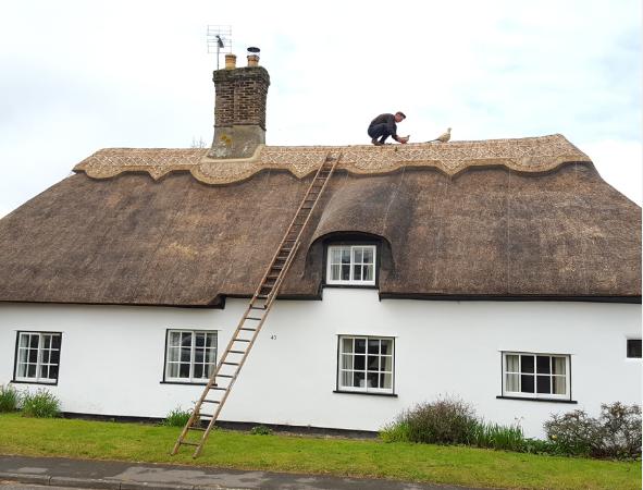thatchercambridgeshirelongstrawridge