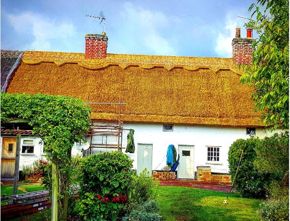 thatchercambridgeshirelongstraw4