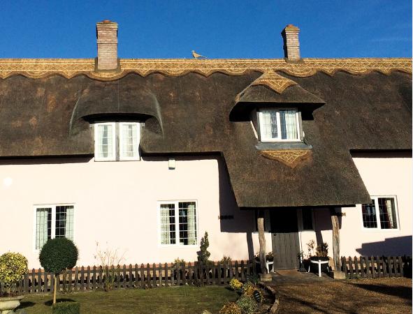 thatchercambridgeshireridgerepaircrop