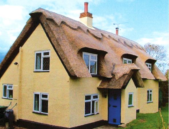 thatcherincambridgecombedwheatandreed