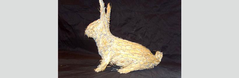 thatcherincambridgerabbit