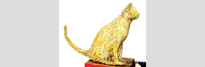 thatcherincambridgecat