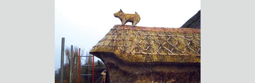 thatcherincambridgedog